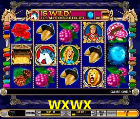 Descubra o Mundo do Cassino Online com wxwx
